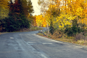 Awesome view of the asphalt road in the autumn scenery.