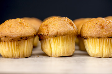Muffins out of oven