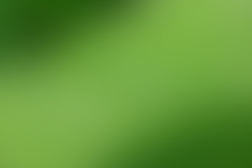 Gradient abstract background green, grass, meadow, lawn, field, backyard with copy space