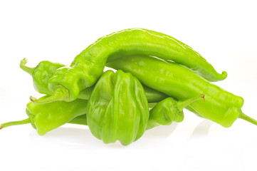 Isolated in the white background of green pepper