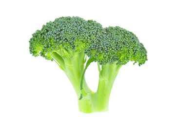 Vegetables broccoli on a white background