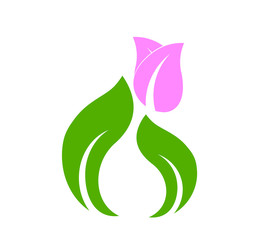 leaf logo design for nature icon or agriculture product