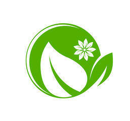 leaf logo design for nature icon or agriculture product