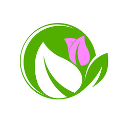 leaf logo design for nature icon or agriculture product