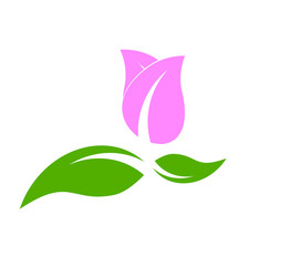 leaf logo design for nature icon or agriculture product