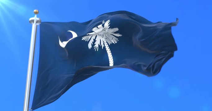 Flag of american state of South Carolina, region of the United States, waving at wind - loop