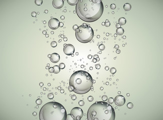 Abstract Water bubbles rising on clear background. vector background.
