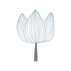 Hand drawn of a lotus flower