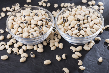 Black-headed beans, Vigna unguiculata