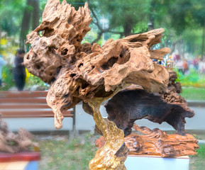 Ho Chi Minh City, Vietnam - February 11, 2018: Tree dry wood in various shapes art beautifully exhibited in Congress spring attract tourists to enjoy of spring Lunar New Year in Ho Chi Minh, Vietnam