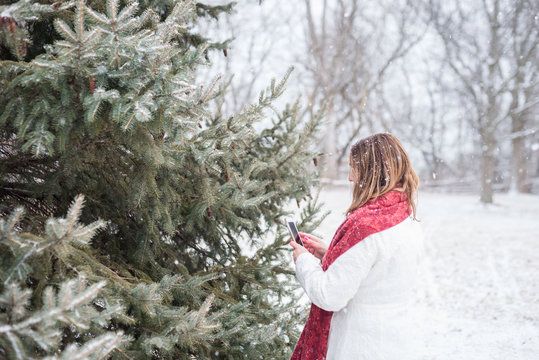 woman taking photo of fresh snow on pine tree branch with smartphone outside in winter