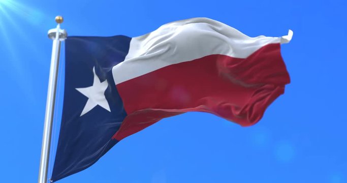 Flag of american state of Texas, region of the United States, waving at wind - loop