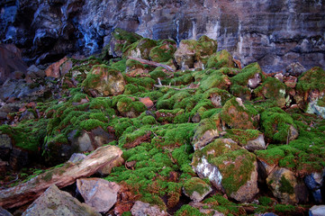 Moss and rocks inside a lava tube in the lava badlands of the Mal Pais wildness in Northern New Mexico