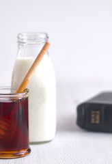 The land of Israel was flowing with milk and honey.  It was God's way of communicating the prosperity of the land.