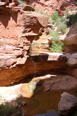 Dripping waterfall in canyon oasis in the Bears Ears wilderness in Southern Utah.