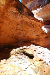 Dripping waterfall in canyon oasis in the Bears Ears wilderness in Southern Utah.