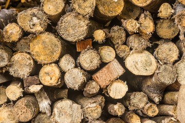 Closeup pattern of cutting wood stack for background user