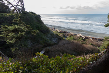 View of South Beach, Washington © Martina