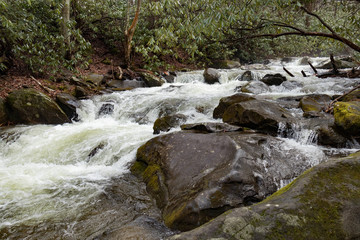 Naklejka na ściany i meble Hen Wallow Creek in the Great Smoky Mountains Natioal Park