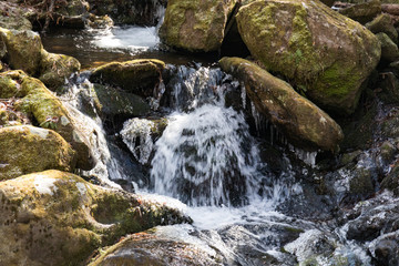 Naklejka na ściany i meble Water rushing over bolders in a creek in Great Smoky Mountains National Park