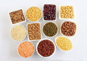 Lentils and legumes, different types, including toor, masoor, dal, moong, urad, kulthi, rajma, chana, lobia, split pigeon pea, split chickpea, and kidney beans, which are used in some Indian dishes.