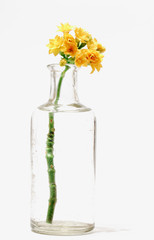 Blumenvase