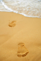 Footprints of a man's bare feet on the sand from the ocean to the shore.