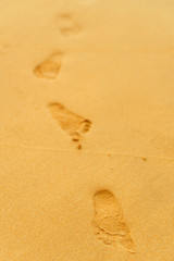 Footprints of a man's bare feet on the sand from the ocean to the shore.