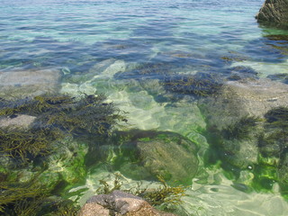 clear water view
