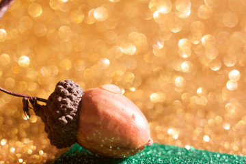 acorns on a beautiful blurred background