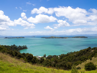 Fototapeta na wymiar Beautiful New Zealand Bay Island Lanscape looking over Man O War Bay, Waiheke Island, New Zealand
