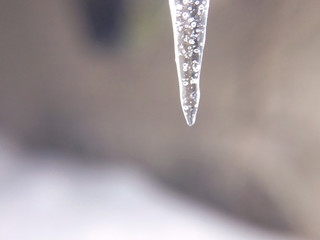 Icicle icy one on a winter day on a light background blurred background close-up