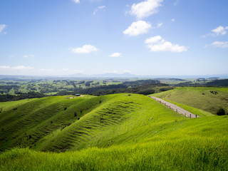 Beautiful Green New Zealand Landscape over a Farm Looking Out to Sea near Ruakaka, North Island New Zealand