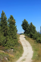 mernao sidewalk