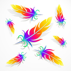 rainbow feathers with shadows on a light gray background