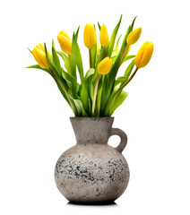 Yellow tulips in a concrete vase on a white background