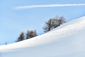 Pendio nevoso con gli alberi sullo sfondo