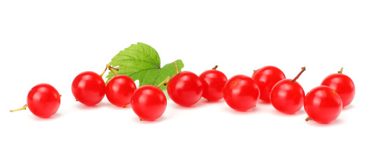 Red berries of Viburnum (arrow wood) with green leaf isolated on white background
