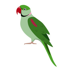 Alexandrine parrot icon in flat style