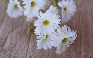 Obraz premium White daisy closeup on wooden table blur background vintage colors style