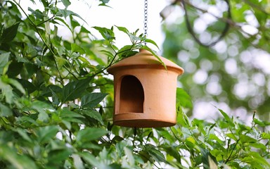 Lovely bird house hang on green tree garden blur background
