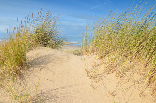 dunes sous le soleil