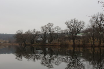 Ясная поляна