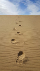 Fototapeta na wymiar Footprints on the sand dune in desert