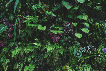 close up view of plants with green leaves