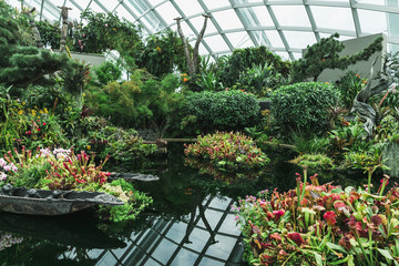 SINGAPORE - JAN 19, 2016: view of various green plants arranged in greenhouse