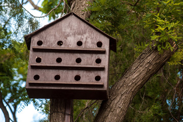 Wooden birdhouse with many holes on tree