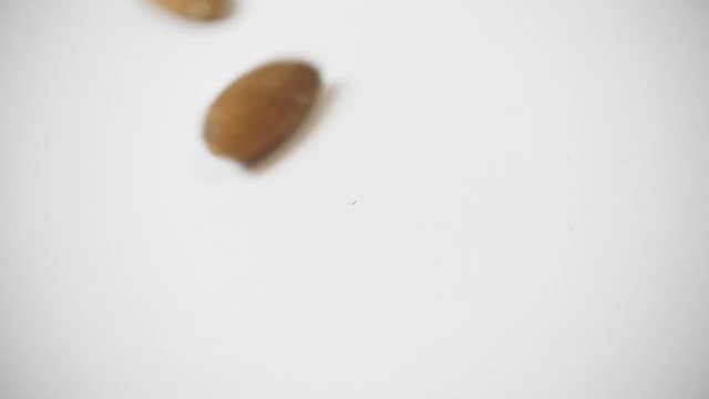 Almonds falling on white background