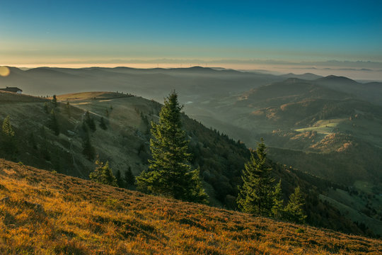 Blackforest