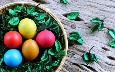 Happy Easter Day! Colors Easter eggs in basket with green flower decoration on wooden table background top view